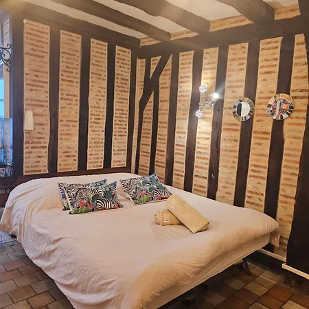 Apartment 30 M2 En Hyper Centre De A Cote De La Place Plumereau Tours