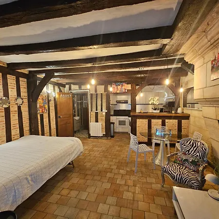 30 M2 En Hyper Centre De A Cote De La Place Plumereau * Tours